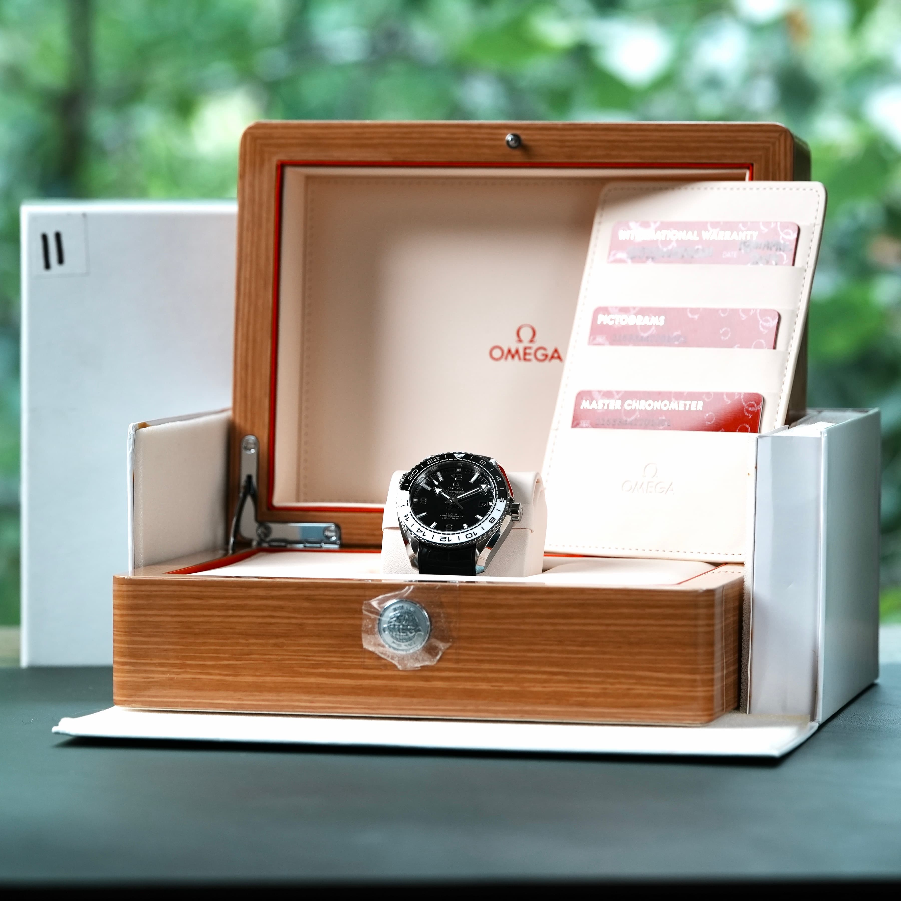 Omega Seamaster Planet Ocean 215.33.44.22.01.001
